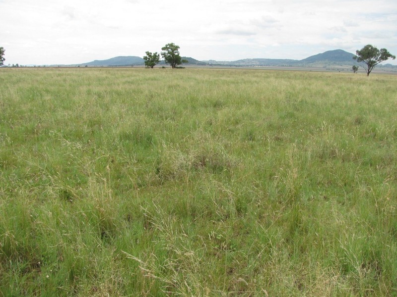 Nombi Park, Mullaley, Gunnedah NSW 2380