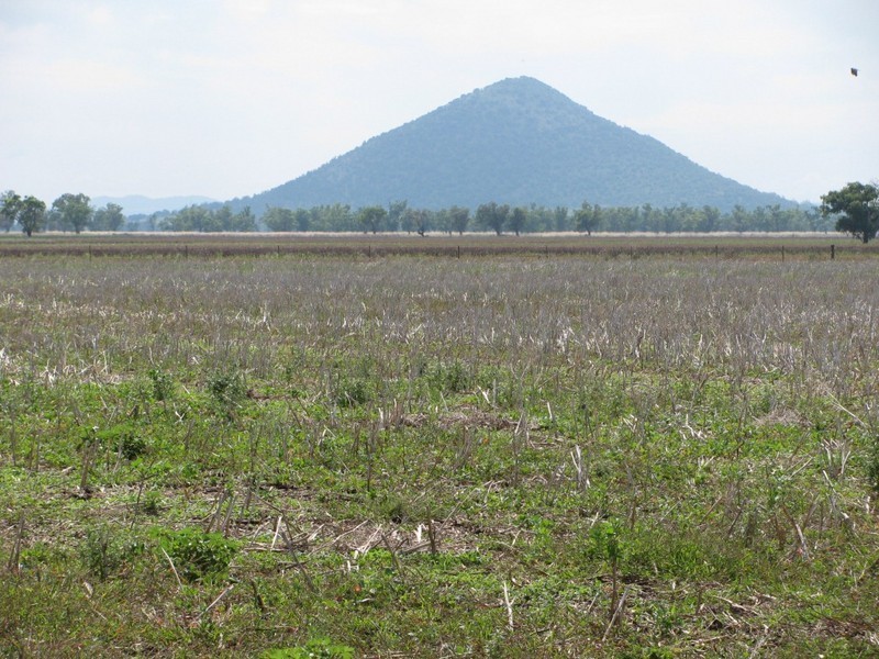 Nombi Park, Mullaley, Gunnedah NSW 2380