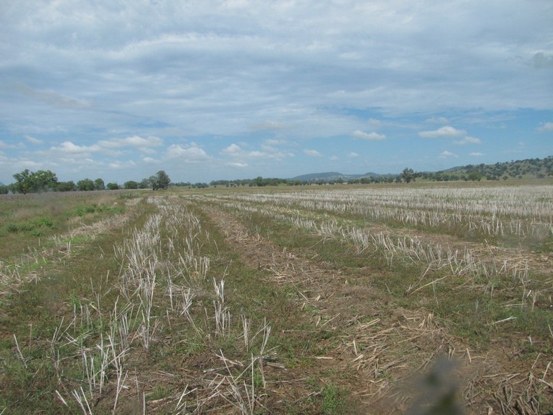 Nombi Park, Mullaley, Gunnedah NSW 2380