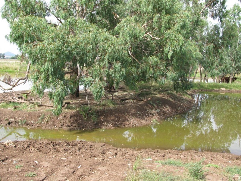 Nombi Park, Mullaley, Gunnedah NSW 2380