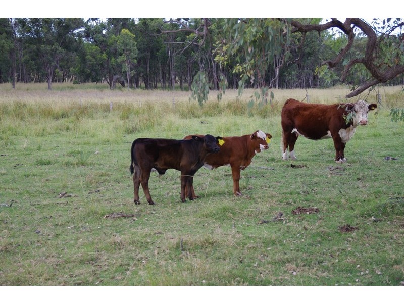 ATHLONE Cherry Tree Hill, Inverell NSW 2360