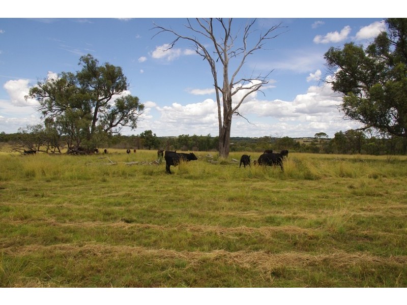 ATHLONE Cherry Tree Hill, Inverell NSW 2360
