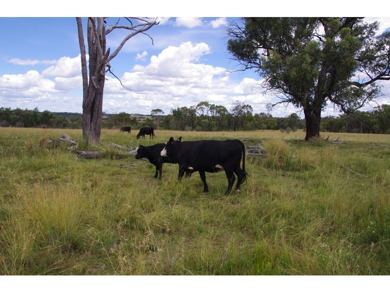 ATHLONE Cherry Tree Hill, Inverell NSW 2360