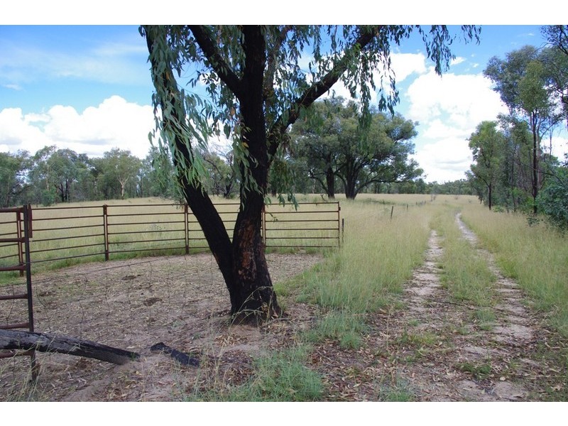 ATHLONE Cherry Tree Hill, Inverell NSW 2360