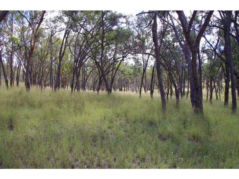 ATHLONE Cherry Tree Hill, Inverell NSW 2360
