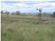 “longview” Attunga, Attunga NSW 2345