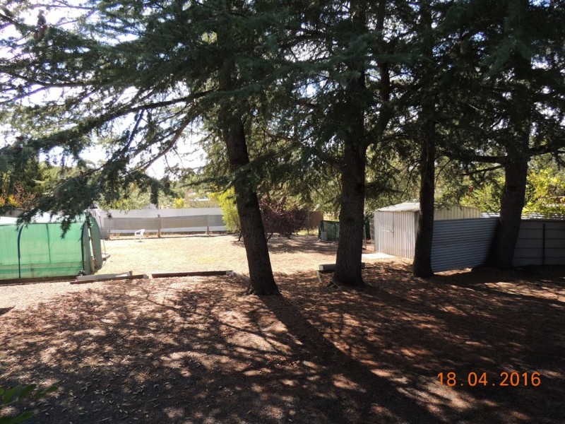 17 Gordon St, Coonabarabran NSW 2357