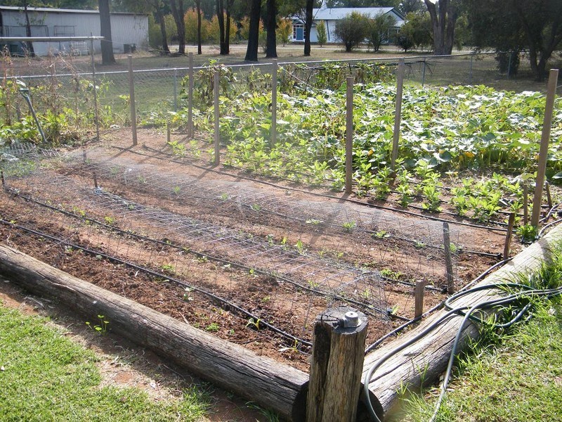 Spring Ridge NSW 2343