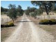 5 Paula’s Place, Quirindi NSW 2343