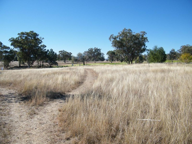 5 Paula’s Place, Quirindi NSW 2343