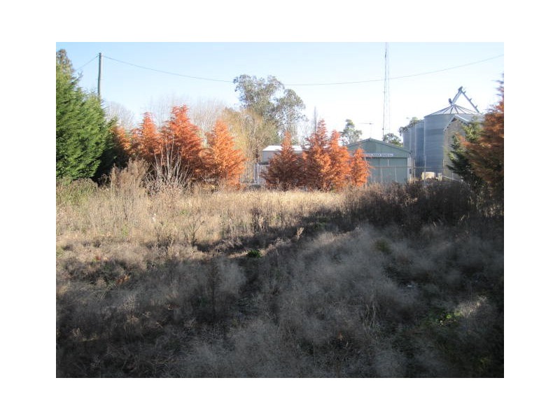 59 Dalgarno St, Coonabarabran NSW 2357