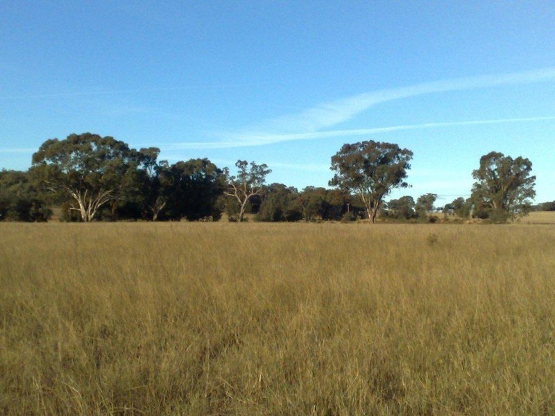 Lot 9 Werribee Estate, Premer NSW 2381