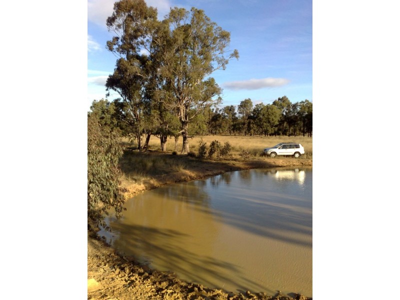 Lot 9 Werribee Estate, Premer NSW 2381