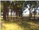 Lot 9 Werribee Estate, Premer NSW 2381