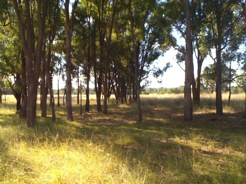 Lot 9 Werribee Estate, Premer NSW 2381