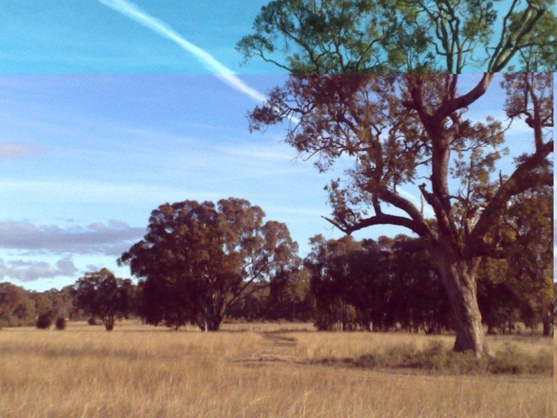 Lot 9 Werribee Estate, Premer NSW 2381