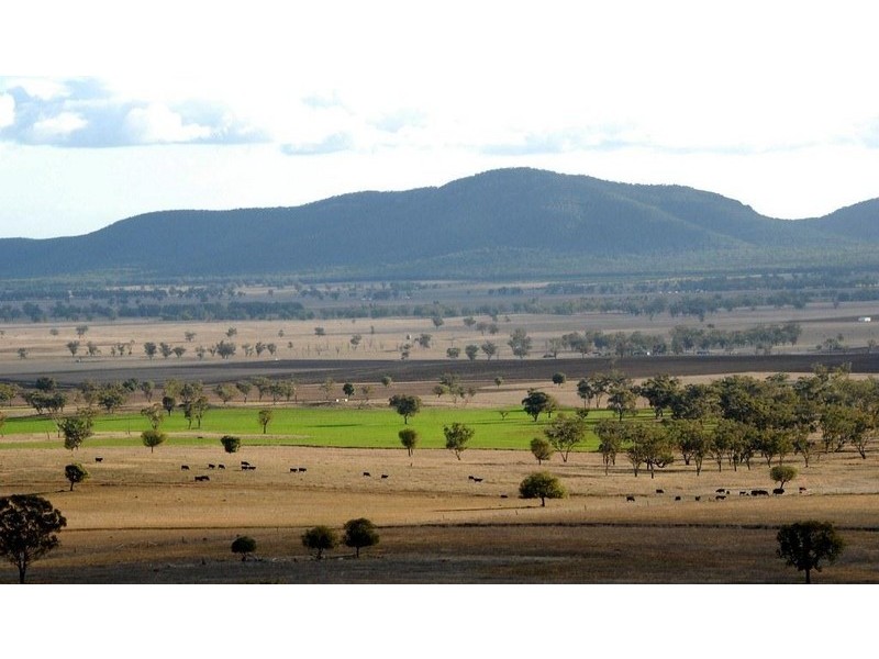 Thirlmere, Bridges Road, Gunnedah NSW 2380