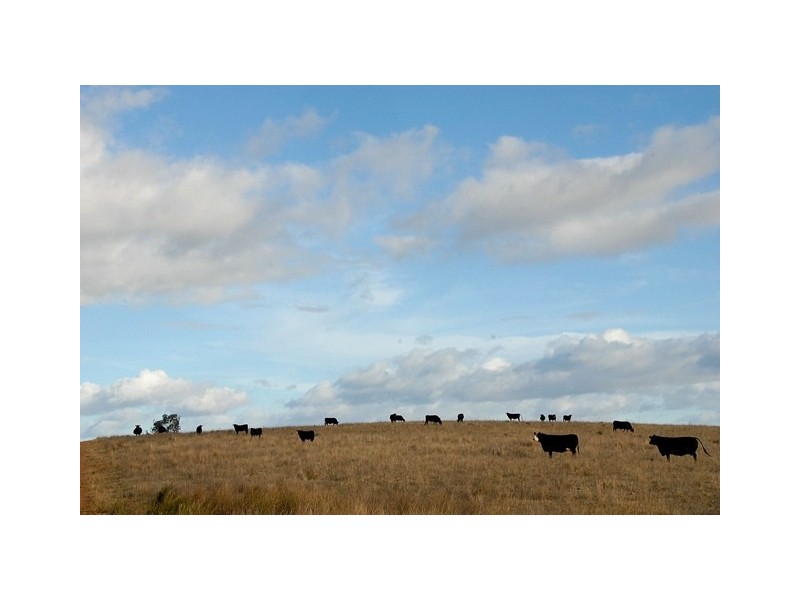 Thirlmere, Bridges Road, Gunnedah NSW 2380