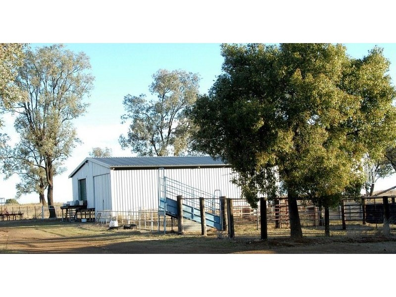 Thirlmere, Bridges Road, Gunnedah NSW 2380