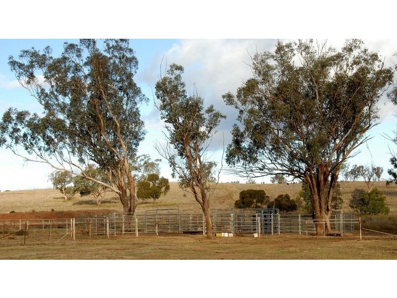 Thirlmere, Bridges Road, Gunnedah NSW 2380