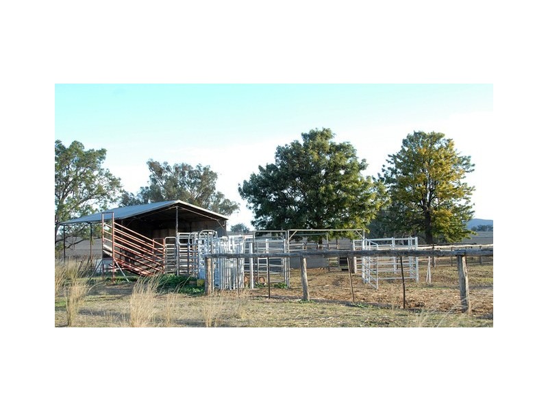 Thirlmere, Bridges Road, Gunnedah NSW 2380
