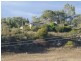 Deepdene Timor Road, Coonabarabran NSW 2357