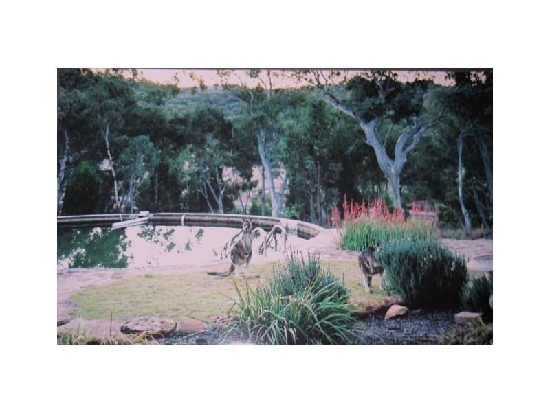 Deepdene Timor Road, Coonabarabran NSW 2357