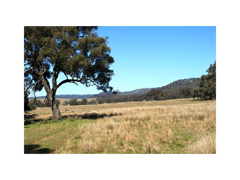 “Millfield” Moobi Road, Scone NSW 2337