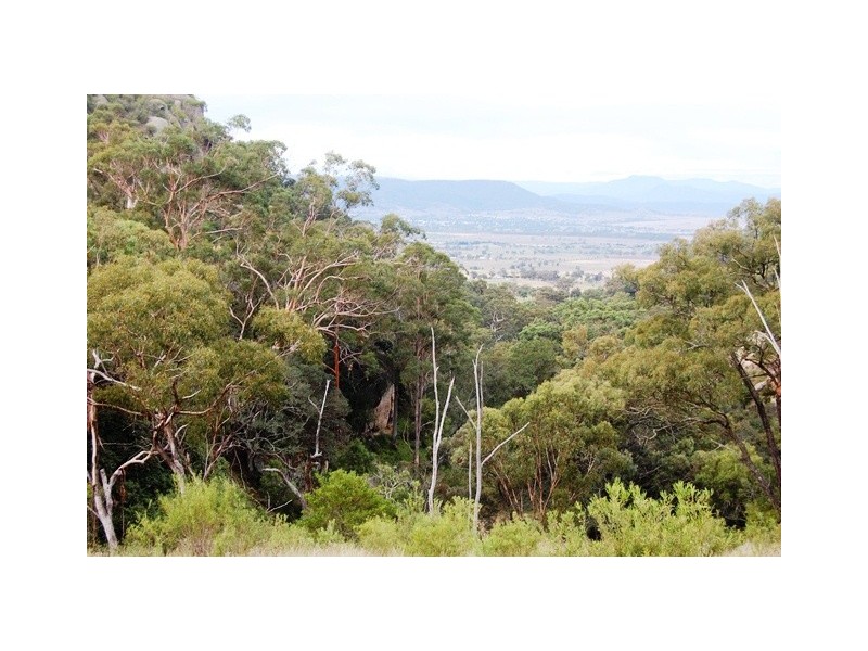 “Millfield” Moobi Road, Scone NSW 2337