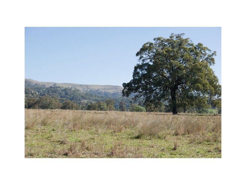 “Millfield” Moobi Road, Scone NSW 2337