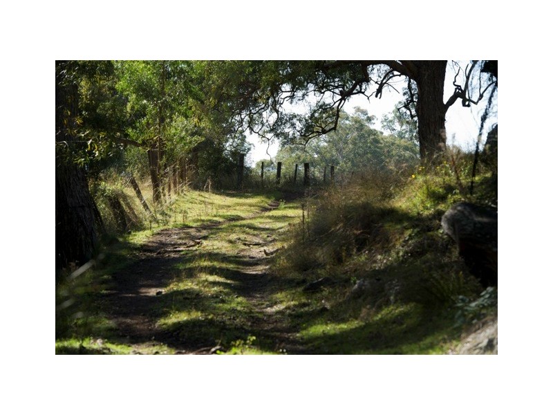 “Millfield” Moobi Road, Scone NSW 2337