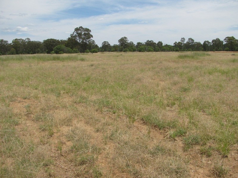 Rewalyn Pilliga-Gwabegar Road, Narrabri NSW 2390