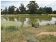 Rewalyn Pilliga-Gwabegar Road, Narrabri NSW 2390