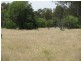 Rewalyn Pilliga-Gwabegar Road, Narrabri NSW 2390