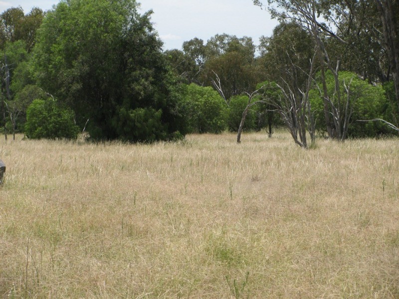 Rewalyn Pilliga-Gwabegar Road, Narrabri NSW 2390