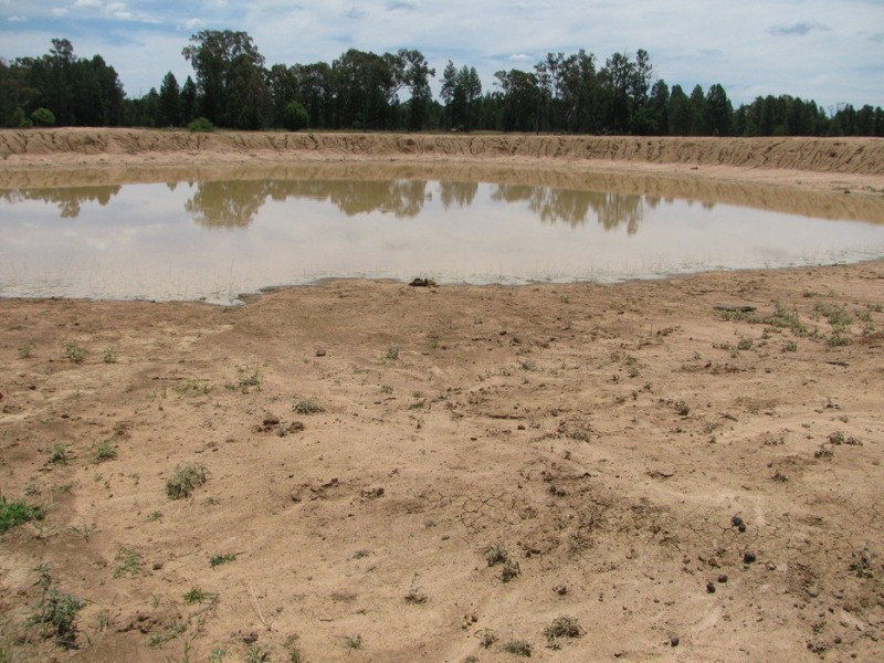 Rewalyn Pilliga-Gwabegar Road, Narrabri NSW 2390