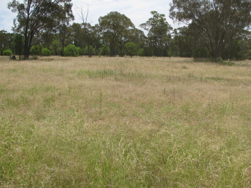 Rewalyn Pilliga-Gwabegar Road, Narrabri NSW 2390