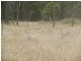 Rewalyn Pilliga-Gwabegar Road, Narrabri NSW 2390
