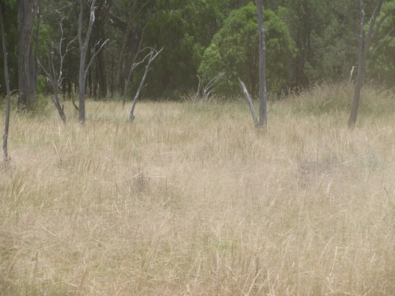 Rewalyn Pilliga-Gwabegar Road, Narrabri NSW 2390