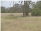 Rewalyn Pilliga-Gwabegar Road, Narrabri NSW 2390