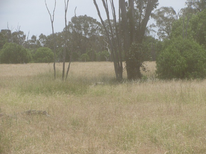 Rewalyn Pilliga-Gwabegar Road, Narrabri NSW 2390