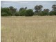 Rewalyn Pilliga-Gwabegar Road, Narrabri NSW 2390