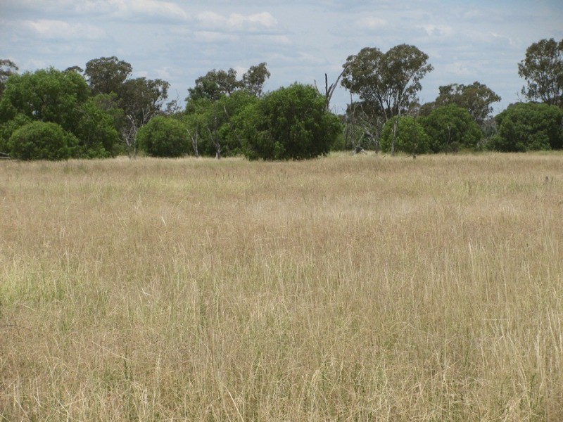 Rewalyn Pilliga-Gwabegar Road, Narrabri NSW 2390