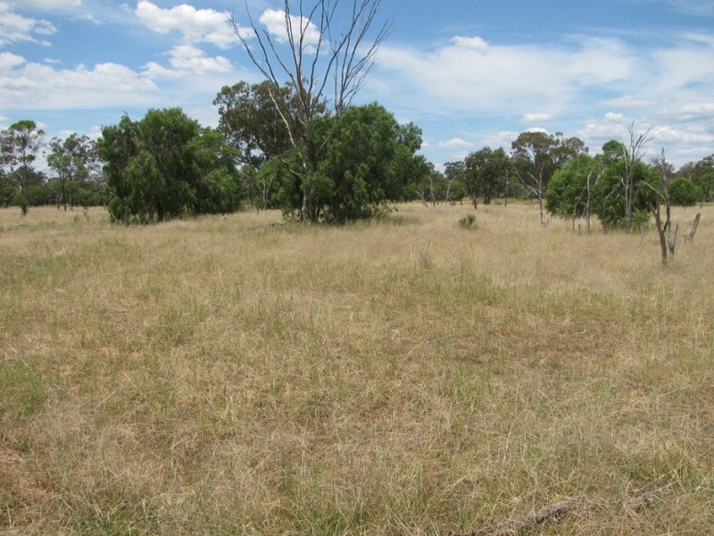 Rewalyn Pilliga-Gwabegar Road, Narrabri NSW 2390