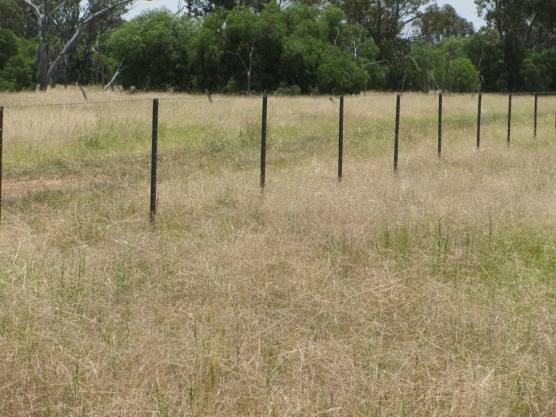 Rewalyn Pilliga-Gwabegar Road, Narrabri NSW 2390