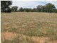 Rewalyn Pilliga-Gwabegar Road, Narrabri NSW 2390