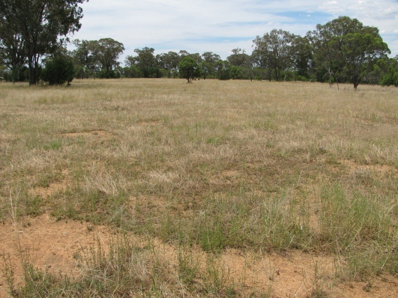 Rewalyn Pilliga-Gwabegar Road, Narrabri NSW 2390