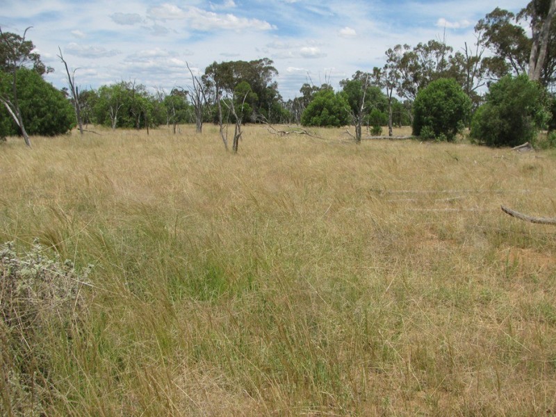Rewalyn Pilliga-Gwabegar Road, Narrabri NSW 2390