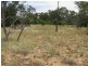 Rewalyn Pilliga-Gwabegar Road, Narrabri NSW 2390