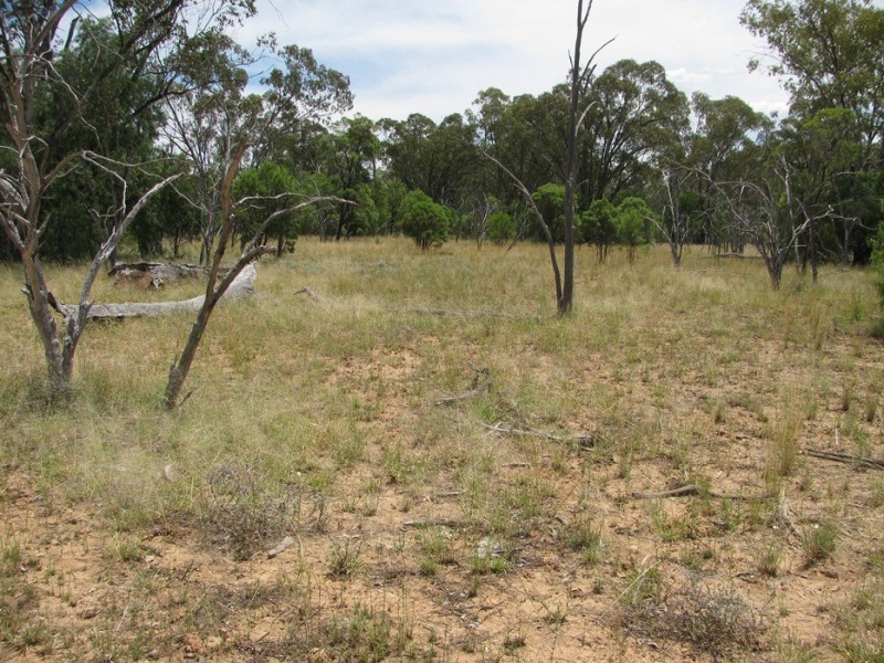 Rewalyn Pilliga-Gwabegar Road, Narrabri NSW 2390